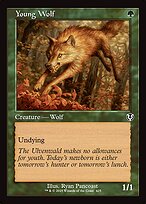 Magic the Gathering Card - Young Wolf - MTG Circle