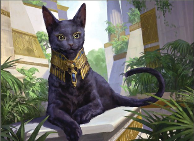 Sacred Cat