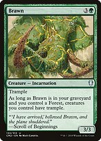 Magic the Gathering Card - Brawn - MTG Circle