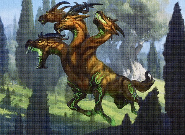 Hydra's Growth