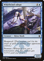 Magic the Gathering Card - Whirlwind Adept - MTG Circle