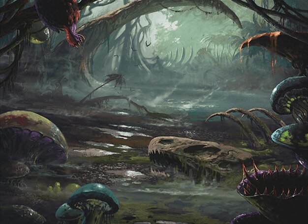 Swamp