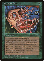 Magic the Gathering Card - Metamorphosis - MTG Circle