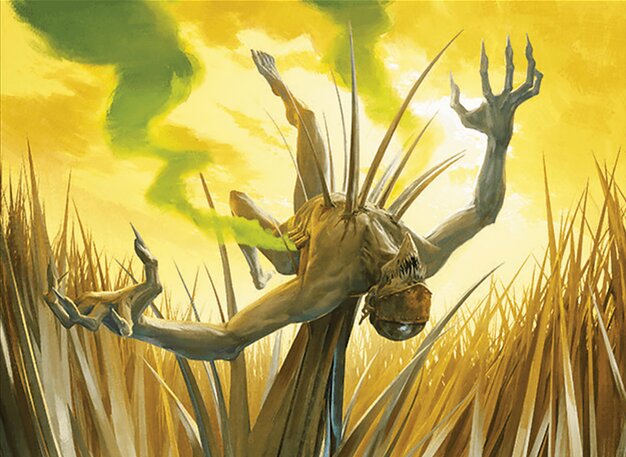 Razorgrass Ambush // Razorgrass Field
