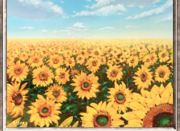 Plains