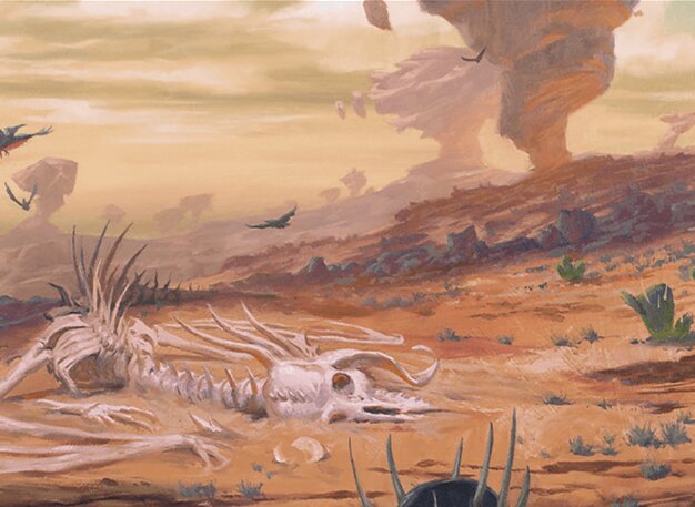 Desert