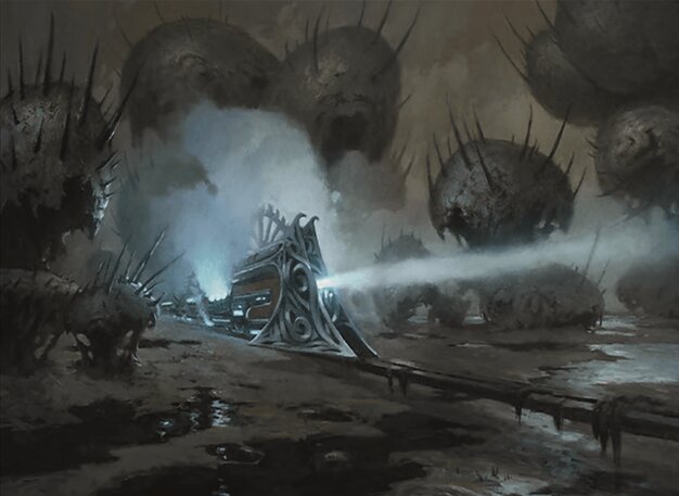 Swamp