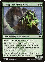 Magic the Gathering Card - Whisperer of the Wilds - MTG Circle
