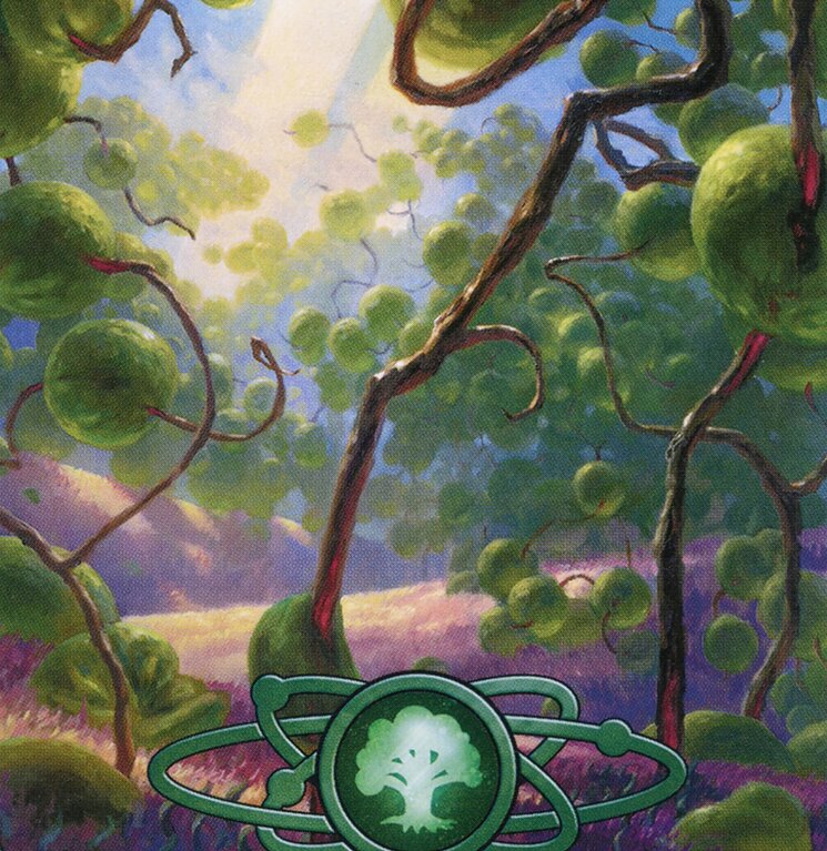 Forest