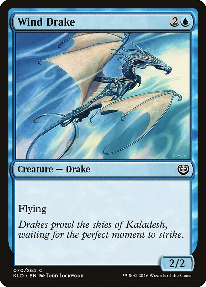 Magic the Gathering Card - Wind Drake - MTG Circle