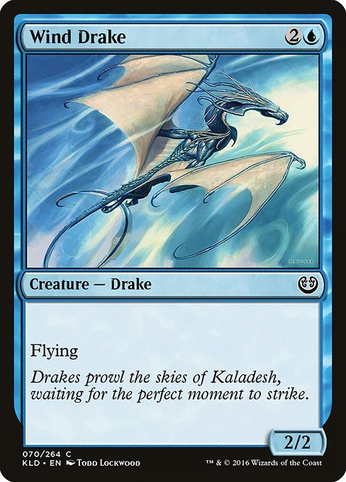 Magic the Gathering Card - Wind Drake - MTG Circle