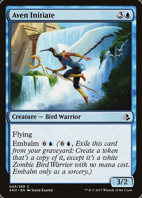 Magic the Gathering Card - Aven Initiate - MTG Circle