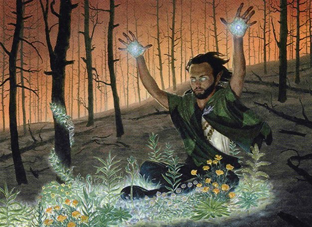 Springbloom Druid