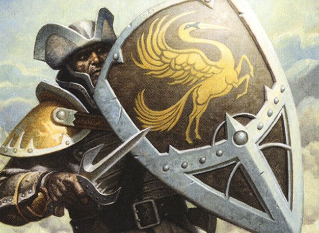 Cathar's Shield