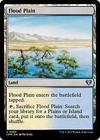 Magic the Gathering Card - Flood Plain - MTG Circle
