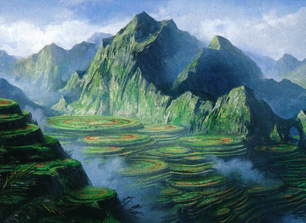 Evolving Wilds