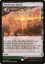 Magic the Gathering Card - Windswept Heath - MTG Circle