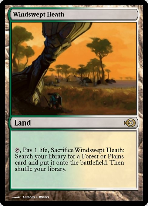 Magic the Gathering Card - Windswept Heath - MTG Circle