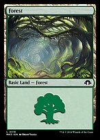 Magic the Gathering Card - Forest - MTG Circle