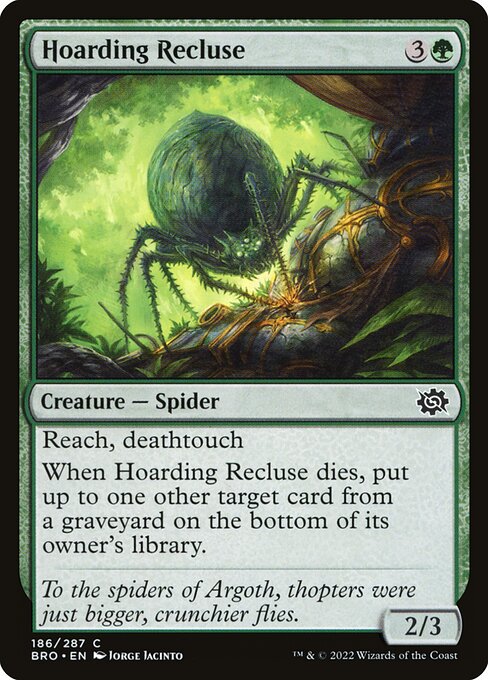 Magic the Gathering Card - Hoarding Recluse - MTG Circle