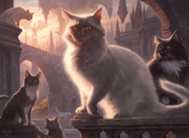 Charmed Stray