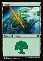 Magic the Gathering Card - Forest - MTG Circle