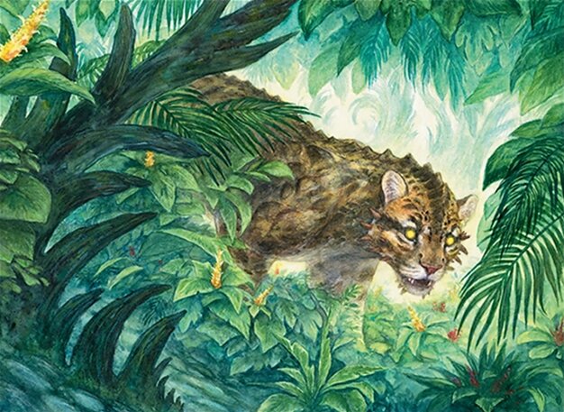 Undergrowth Leopard
