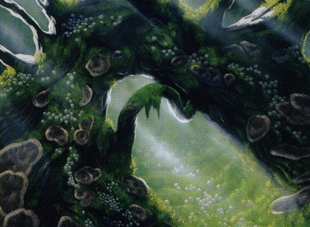 Mwonvuli Acid-Moss