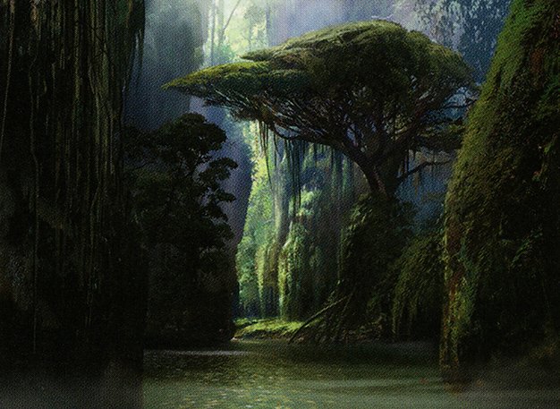 Jungle Hollow