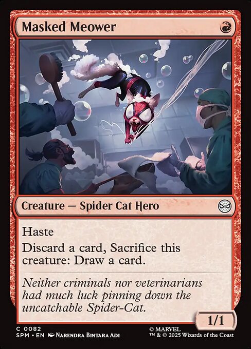 Magic the Gathering Card - Masked Meower - MTG Circle