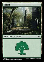 Magic the Gathering Card - Forest - MTG Circle