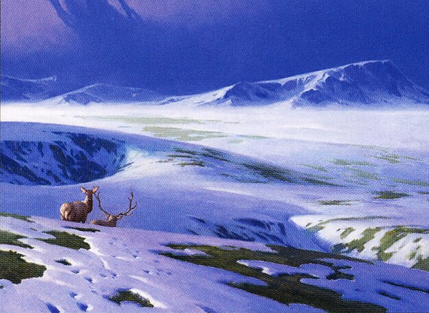 Snow-Covered Plains