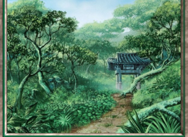 Forest