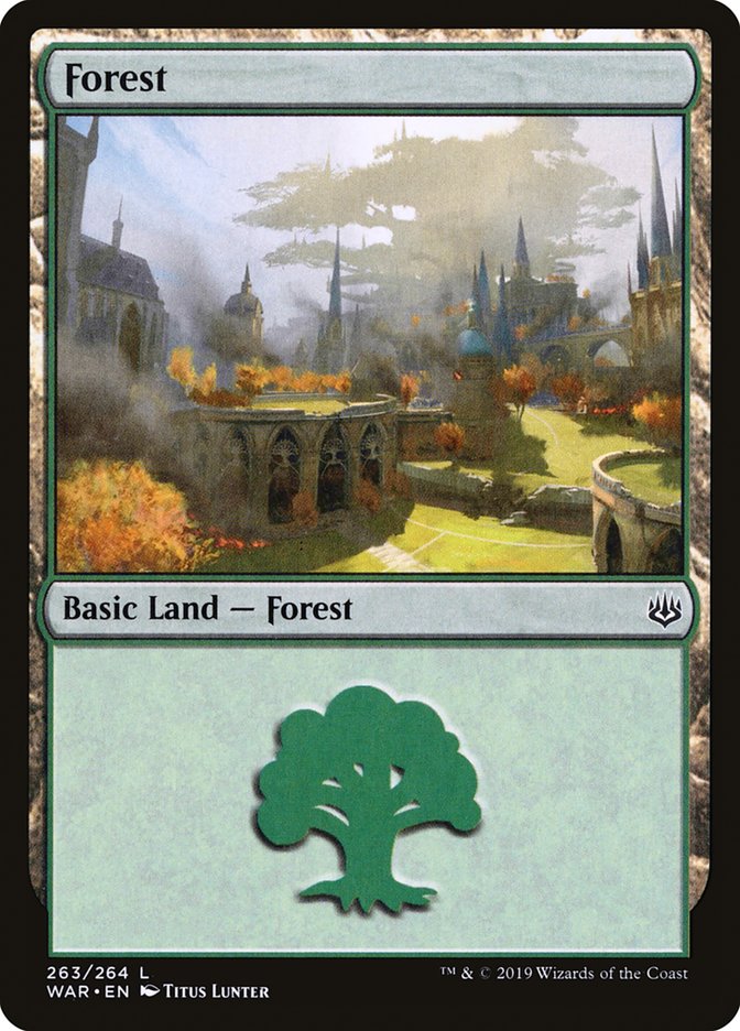 Magic the Gathering Card - Forest - MTG Circle