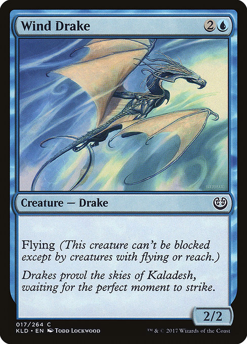 Magic the Gathering Card - Wind Drake - MTG Circle