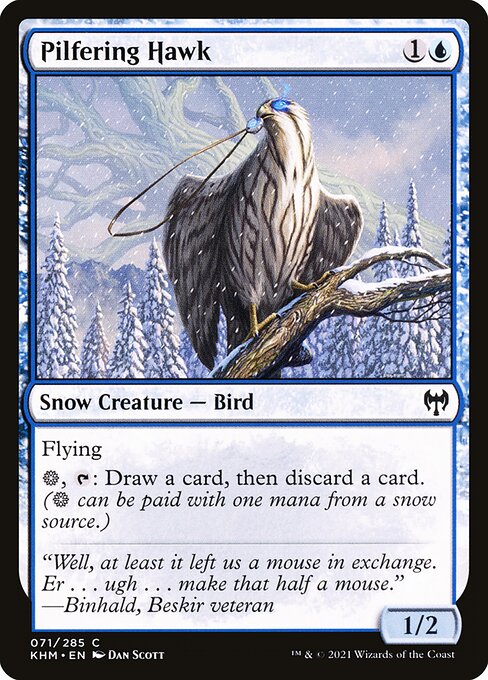 Magic the Gathering Card - Pilfering Hawk - MTG Circle
