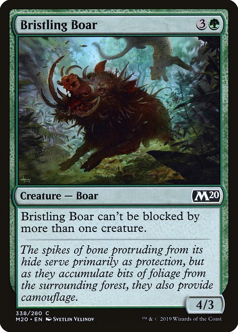 Magic the Gathering Card - Bristling Boar - MTG Circle