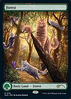 Magic the Gathering Card - Forest - MTG Circle