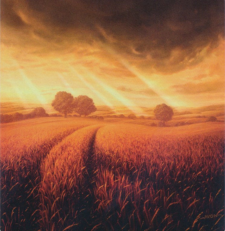 Plains