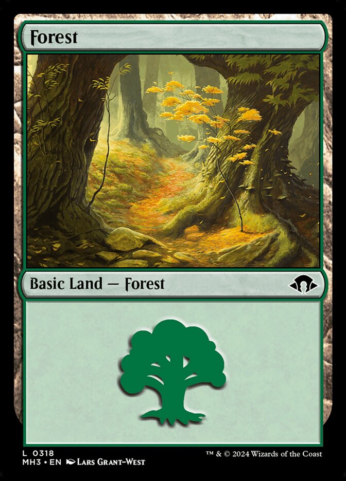 Magic the Gathering Card - Forest - MTG Circle