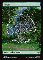 Magic the Gathering Card - Forest - MTG Circle