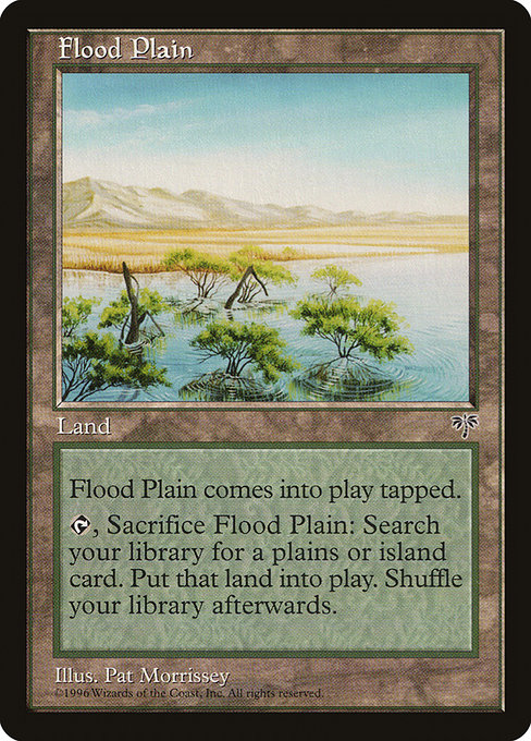 Magic the Gathering Card - Flood Plain - MTG Circle