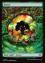 Magic the Gathering Card - Forest - MTG Circle