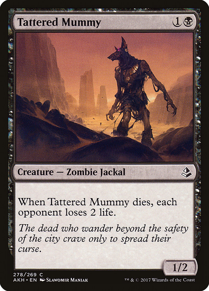 Magic the Gathering Card - Tattered Mummy - MTG Circle
