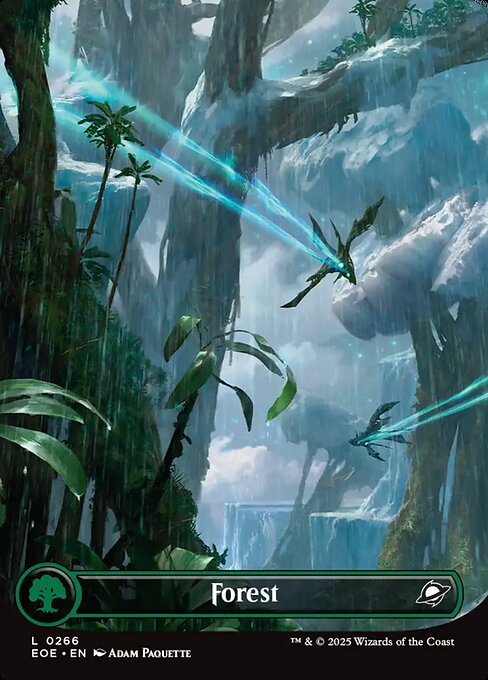 Magic the Gathering Card - Forest - MTG Circle