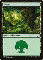 Magic the Gathering Card - Forest - MTG Circle