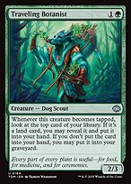 Magic the Gathering Card - Traveling Botanist - MTG Circle