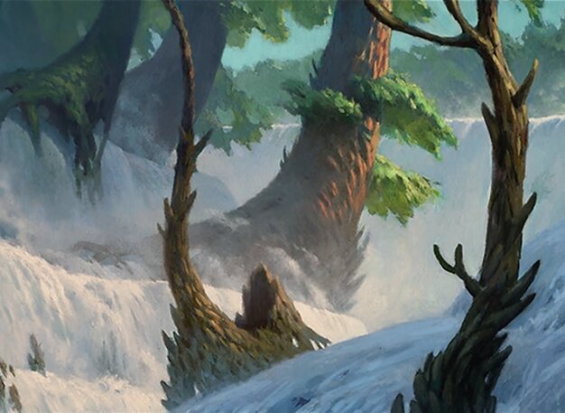 Misty Rainforest