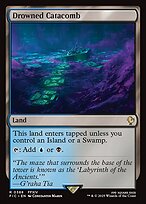 Magic the Gathering Card - Drowned Catacomb - MTG Circle