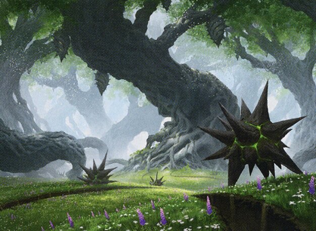 Forest